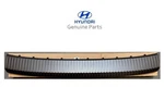 Genuine Front Bumper Skid Plate Stone Deflector 2024-25-26 Santa Fe Calligraphy. Fixed Price $160.00.