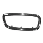 Right Passenger Side Grille Molding For Bmw 745I 2002-2005 51138223220 BM1213101. Fixed Price $42.56.