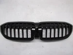 2020-2021-2022 Bmw Series 330I/G20 Front Upper Agrille Oem 7457041. Fixed Price $100.00.