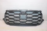 2022 2023 Honda Passport Front Grille Gray Oem 71121-TGS-A5 A6. Fixed Price $276.28.