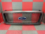 04-08 Ford F150 Upper Front Grille Assembly Shadow Gray #4L34-8200-DSW. Fixed Price $123.50.