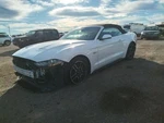 Grille Lower Gt Without Premium Appearance Package Fits 20-23 Mustang 2119251. Fixed Price $165.00.