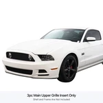 Aps GR06FEI25J Stainless Billet Grille Black 13-14 Ford Mustang Gt. Fixed Price $46.58.