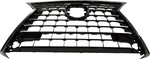 For 2018-2019 NX300H Grille Assembly Silver & Gray Plastic LX1200197 5310178180. Fixed Price $447.95.
