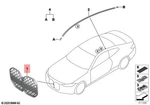 Genuine Bmw G22 G23 M440DX M440IX Convertible Grill Front 51135A55DB3. Fixed Price $343.82.