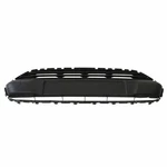 Genuine Ford Center Grille DT1Z-17E810-A. Fixed Price $152.71.