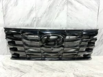 2022-2024 Hyundai Tucson Grille Assembly Oem Front Upper 86366-N9000. Fixed Price $300.00.