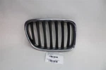 Grille Bmw X1 2013 2014 2015 Right 1341921. Fixed Price $79.99.
