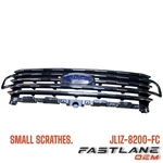 2018-2021 Ford Expedition Front Radiator Grille(scratches) New Oem JL1Z-8200-FC. Fixed Price $983.59.