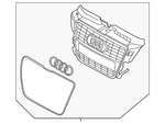 Genuine Audi Center Grille 8P0-853-651-P-1QP. Fixed Price $503.29.