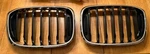 Bmw Oem 2018+ G01 X3 2019+ G02 X4 Sport Chrome With Black Front Grille Pair. Fixed Price $69.00.