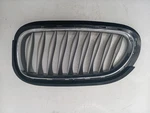 Driver Left Grille Upper Graphite & Chrome Color Fits 03-08 Bmw Z4 1173828. Fixed Price $34.30.