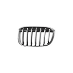 Passenger Grille Bumper Mounted X-line Upper Fits 16-19 Bmw X1 18763. Fixed Price $103.00.