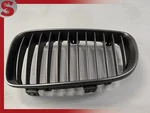 2008-2013 Bmw 128I 135I Front Left Upper Grille Driver P/n 7166439 Oem. Fixed Price $30.62.