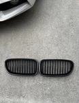 Bmw Oem F10 F11 F18 5 Series 2011-2016 Performance Black Grille Pair. Fixed Price $45.00.