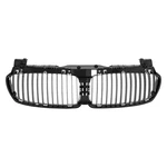 Grille Standard Line For Bmw 750I 2006 2007 2008 BM1202100. Fixed Price $67.02.