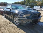 Grille Lower Center Insert 6 Cylinder Base Fits 13-14 Mustang 1408101. Fixed Price $129.90.