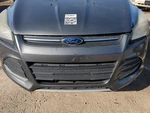 2013-2016 Ford Escape Front Grille Bumper Not Included Uqvaj. Fixed Price $259.47.