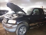 Grille Heritage Xl Painted Surround Fits 02-04 Ford F150 Pickup 2105051. Fixed Price $118.75.