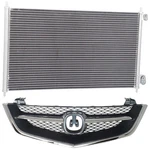 Grille For Acura Tl 2002-2003. Fixed Price $122.44.