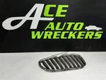 Passenger Right Grille Upper Chrome Fits 03-08 Bmw Z4 578497. Fixed Price $50.00.