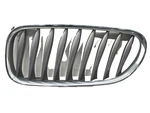 2003 Bmw Z4 Upper Chrome Front Exterior Grille Driver Left Oem 51137051959. Fixed Price $149.99.
