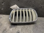 (local Pickup Only) Driver Grille Hood Titanium And Chrome Finish Fits 07-13 Bmw. Fixed Price $109.90.
