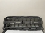 2021 2022 2023 Ford F150 Raptor Grille Oem. Fixed Price $1000.00.