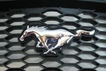 Oem New 2005-2010 Ford Mustang Base Grille Chrome Pony V6 Honeycomb Mesh. Fixed Price $132.76.