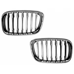 For Bmw X3 2018 2019 Grille Driver And Passenger Side Pair W/silver Edge Slats. Fixed Price $235.50.