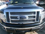Grille Upper Hood Chrome Surround Lariat Fits 10-12 Ford F150 Pickup 2250091. Fixed Price $304.99.