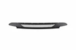 Genuine Oem Front Lower Grille For Bmw Z4 2.5I 3.0I 03-05 51117016061. Fixed Price $118.80.