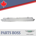 Aston Martin V8 Vantage 2006-2016 Oem New Lower Front Grille Special Edition. Fixed Price $273.83.