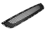 Genuine Gm Front Lower Grille 22824481. Fixed Price $46.71.