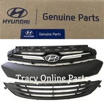 Front Grille Assembly 13-14-15-16 Genesis Coupe New Oem Hyundai Set Of Parts. Fixed Price $299.95.