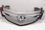Acura Mdx Grille Oem 2007 - 2009. Fixed Price $189.99.