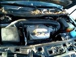 Grille Excluding Red Line Lower Fits 06-07 Vue 2662781. Fixed Price $77.99.