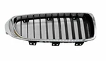 Bmw F32 F33 Front Right Passenger Side Radiator Kidney Grille Oem 7294818. Fixed Price $38.50.