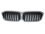 DD603184 Bmw 330I 2023 2024 2025 Front Bumper Ornamental Grille. Fixed Price $149.99.