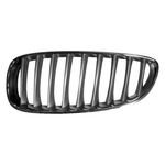 Passenger Grille Rdstr Upper Bumper Mounted Fits 09-16 Bmw Z4 555747. Fixed Price $124.00.