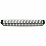 Front Lower Bumper Grille Plastic For 2012-2015 Volkswagen Passat VW1036126. Fixed Price $52.70.