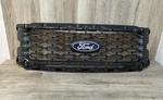 2024-25 Ford F-150 Grille Center Insert Oem Part # RL3J-8200-LD51MX. Fixed Price $249.00.