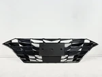 2021-2023 Hyundai Elantra Front Center Radiator Grille Oem 86366AA010 !!tabs!!. Fixed Price $181.99.