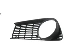 Decorative Grille Plastic Front Radiator Left For Bmw E10 From 1973. Fixed Price $151.09.