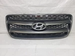2007 2008 2009 Hyundai Santa Fe Front Upper Grille Oem E865612B000. Fixed Price $87.00.