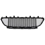 Front Bumper Grille Fits 2013-2018 Bmw 320I 328I 335I 340I 51118068124 BM1036137. Fixed Price $55.10.