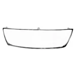 Grille Frame For Lexus GS450H 2007 Outer 104-50352A. Fixed Price $72.59.