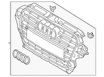 Genuine Audi Grille 8R0-853-651-AL-T94. Fixed Price $879.27.