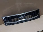 Oem 2020-2023 Kia Telluride Radiator Front Grille Without Camera 86350-S9300CAD. Fixed Price $325.00.