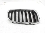 2013-2015 Bmw X1 Front Right Passenger Center Grille Chrome 51117347667. Fixed Price $85.00.